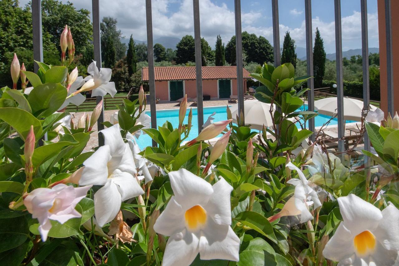 Relais Villa Isabel Pietrasanta Exterior photo